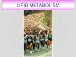LIPID METABOLISM - slide 1