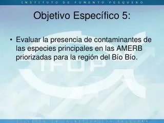 objetivo espec fico 5