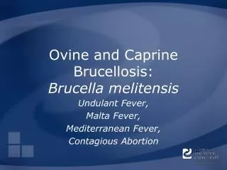 Ovine and Caprine Brucellosis: Brucella melitensis