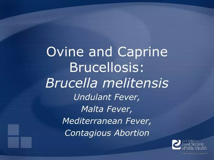 ovine and caprine brucellosis brucella melitensis