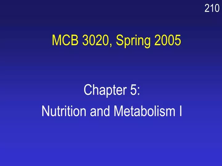 mcb 3020 spring 2005