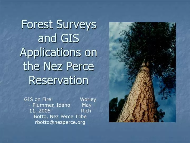 forest surveys and gis applications on the nez perce reservation