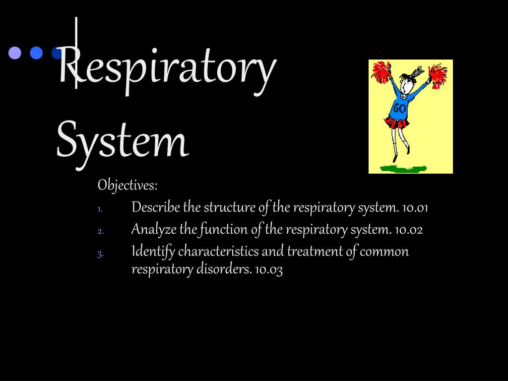 PPT - Respiratory System PowerPoint Presentation, free download - ID ...
