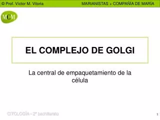 el complejo de golgi