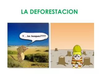 la deforestacion