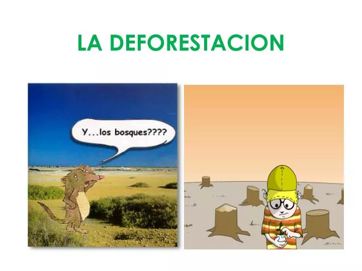 la deforestacion