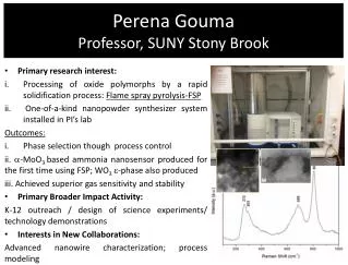 Perena Gouma Professor, SUNY Stony Brook