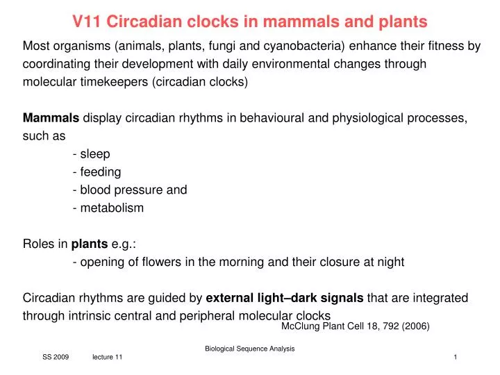 v11 circadian clocks in mammals and plants