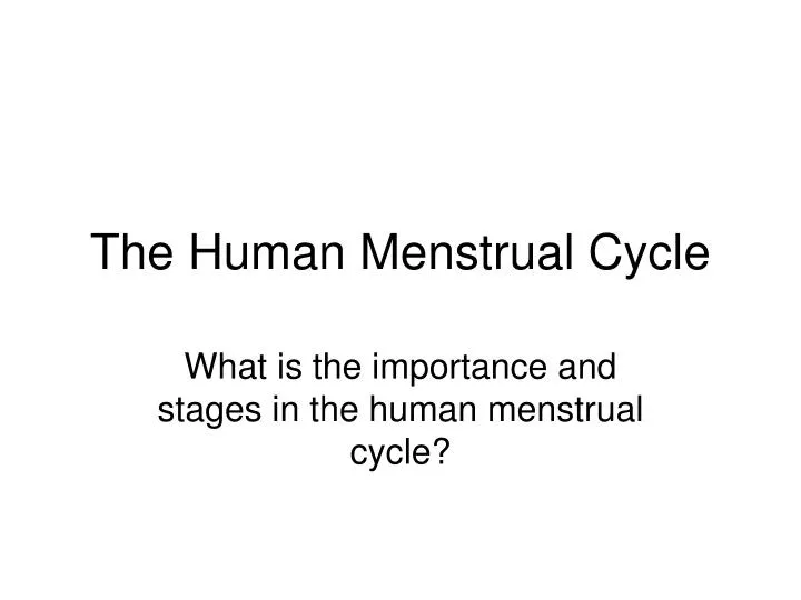 the human menstrual cycle