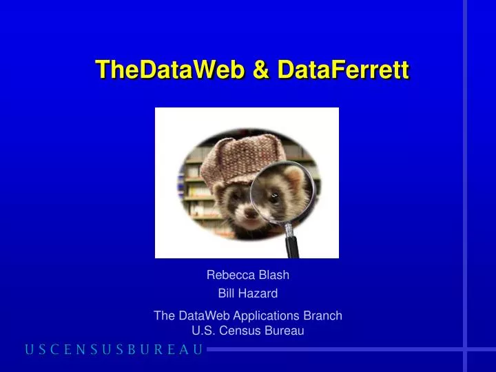 thedataweb dataferrett