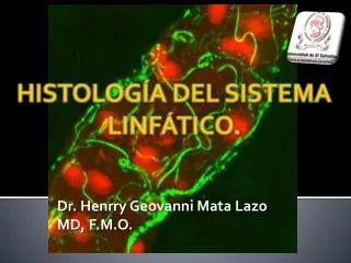 dr henrry geovanni mata lazo md f m o