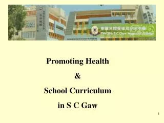 Promoting Health &amp; School Curriculum in S C Gaw