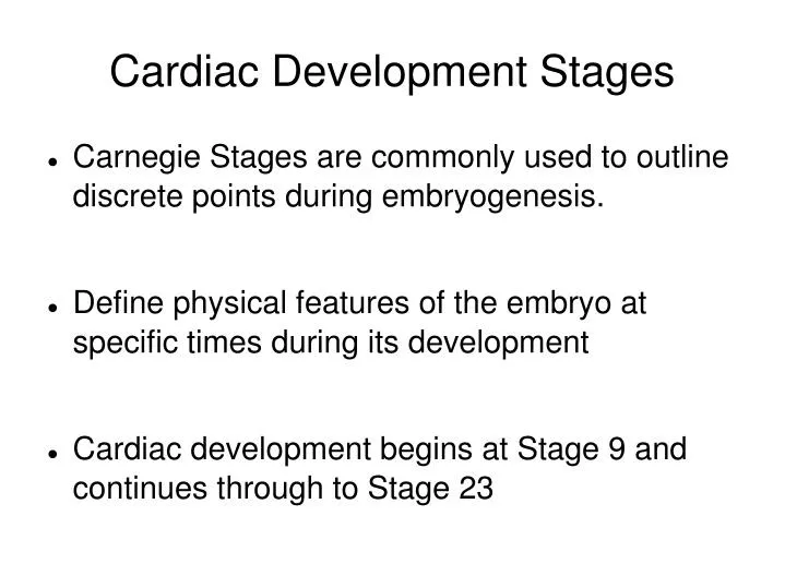 cardiac development stages
