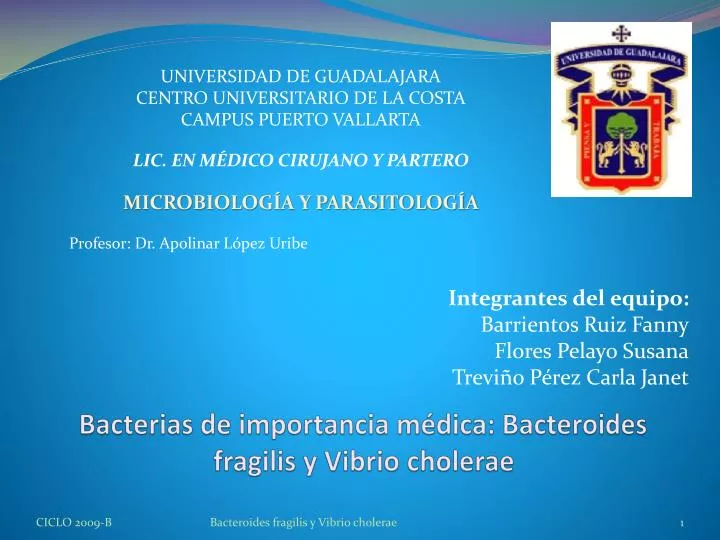 bacterias de importancia m dica bacteroides fragilis y vibrio cholerae