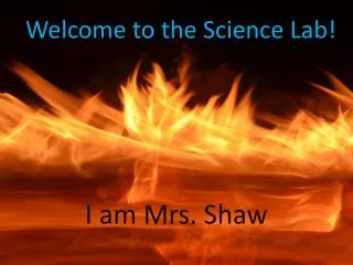 Welcome to the Science Lab!