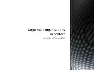 Large-scale organisations in context