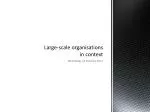 Large-scale organisations in context - slide 1