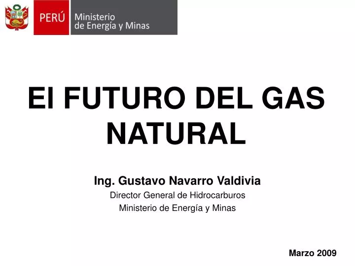 el futuro del gas natural