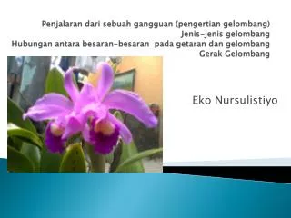 eko nursulistiyo