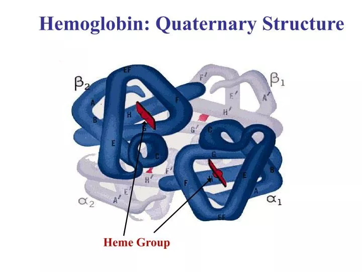 hemoglobin quaternary structure