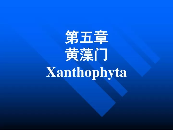 xanthophyta