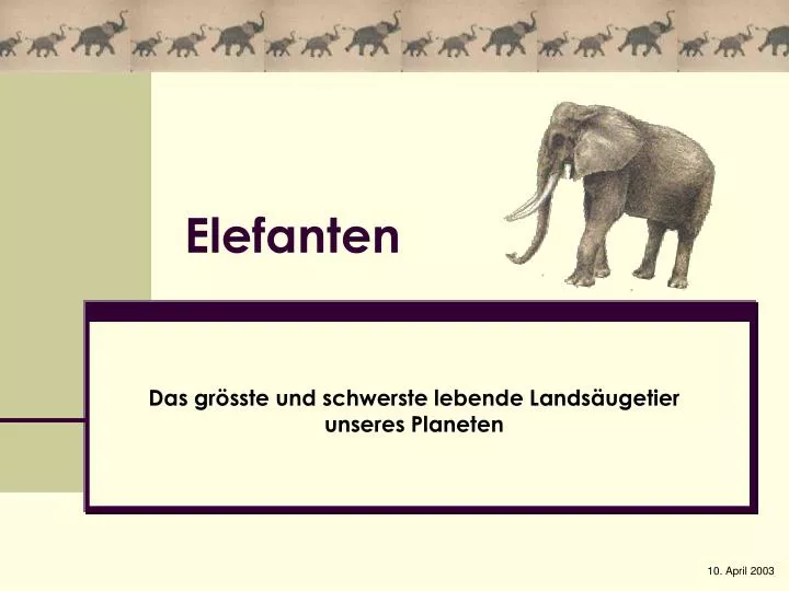 elefanten