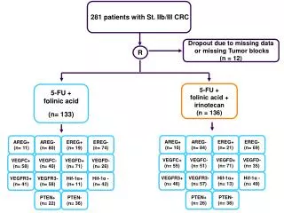 5-FU + folinic acid (n= 133)
