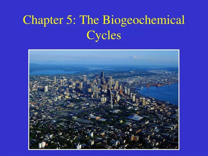 chapter 5 the biogeochemical cycles