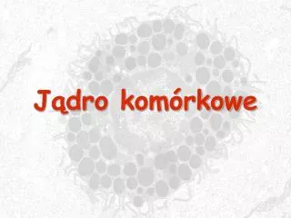 j dro kom rkowe