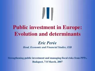 Public investment in Europe: Evolution and determinants