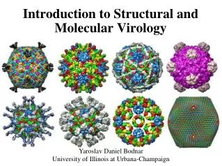 Introduction to Structural and Molecular Virology