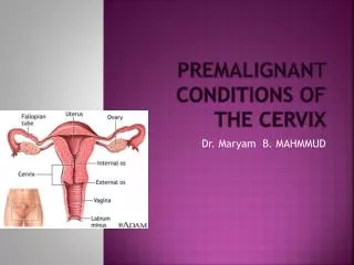 Premalignant conditions of the cervix