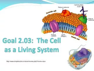 Goal 2.03: The Cell as a Living System