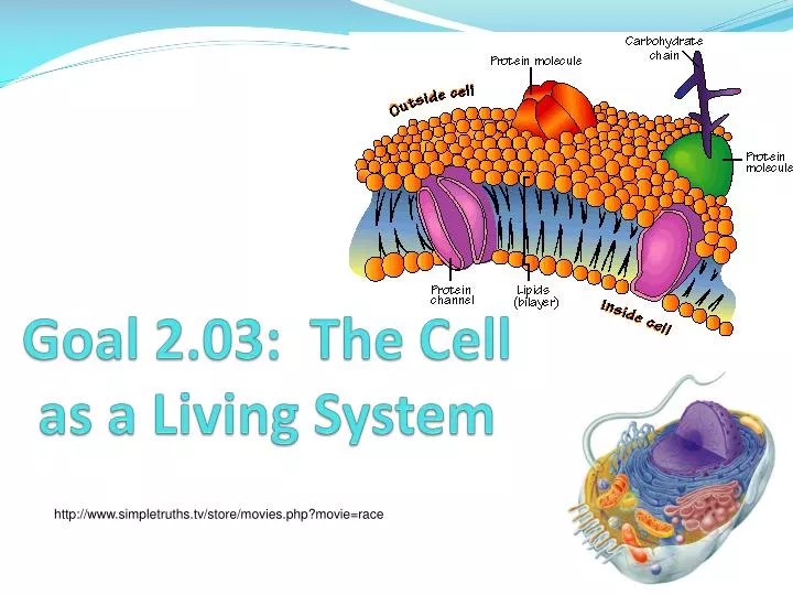 goal 2 03 the cell as a living system