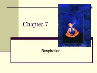 Chapter 7