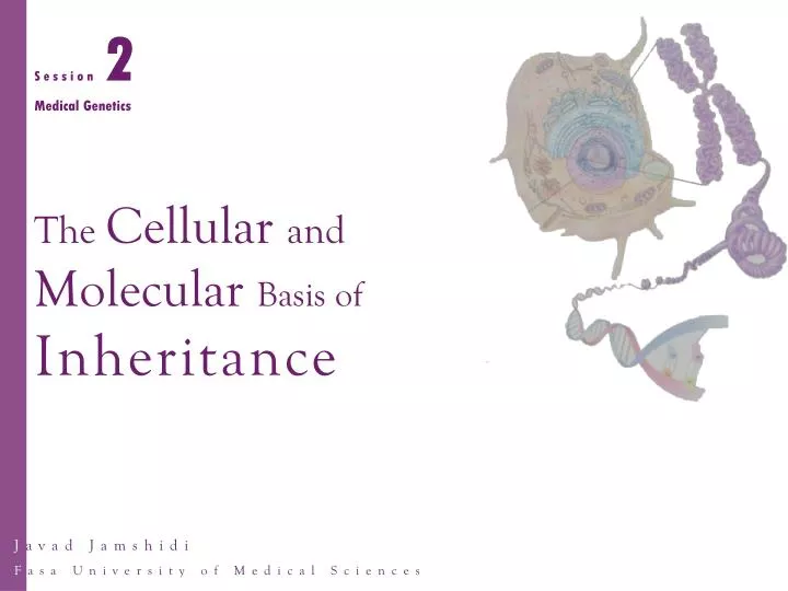 the cellular and molecular basis of inheritance