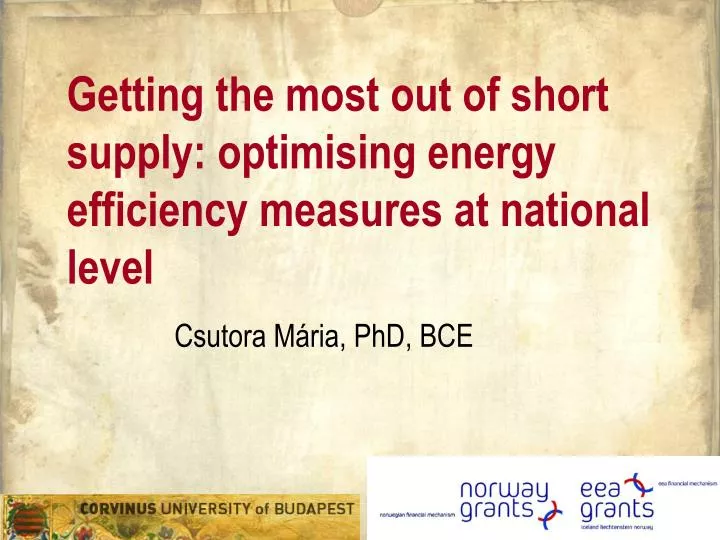 getting the most out of short supply optimising energy efficiency measures at national level