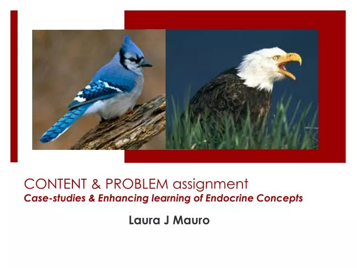 content problem assignment case studies enhancing learning of endocrine concepts