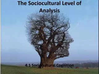 The Sociocultural Level of Analysis