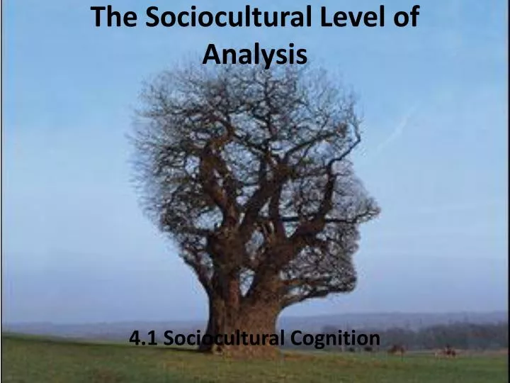 the sociocultural level of analysis