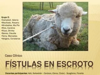 caso cl nico