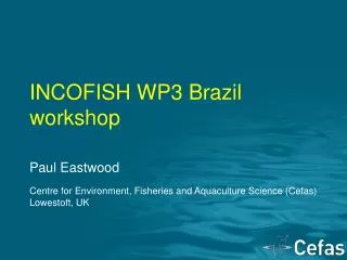 INCOFISH WP3 Brazil workshop