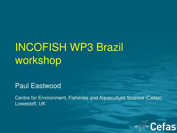 incofish wp3 brazil workshop