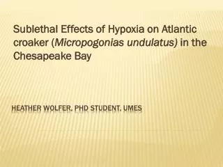 Heather wolfer , phd student, umes