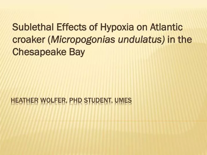 sublethal effects of hypoxia on atlantic croaker micropogonias undulatus in the chesapeake bay
