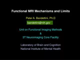 Functional MRI Mechanisms and Limits