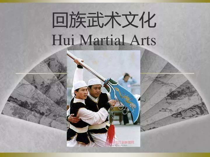 hui martial arts