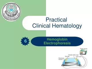 Hemoglobin Electrophoresis