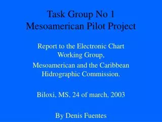 Task Group No 1 Mesoamerican Pilot Project