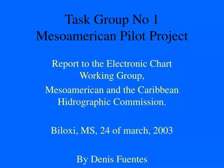task group no 1 mesoamerican pilot project